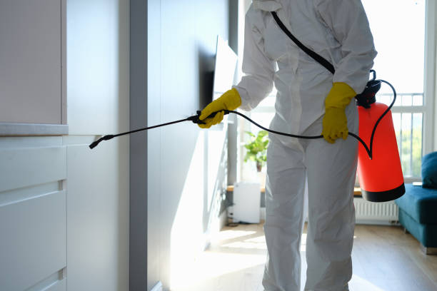 Forensic Mold Investigation in Fridley, MN