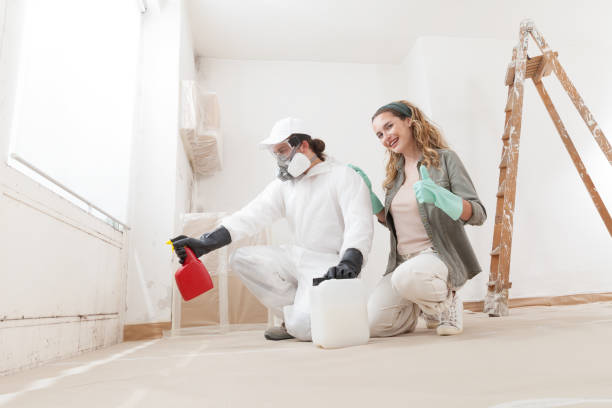 Best Real Estate Mold Inspection  in Fridley, MN