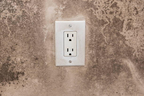 Best Residential Mold Inspection & Testing  in Fridley, MN